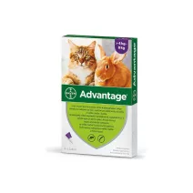 Kullancs- és bolhaírtó szerek