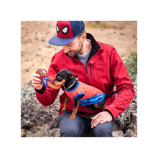 Pókember Rágójáték kutyáknak