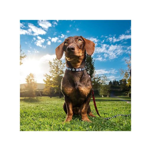 Mickey Egér mintás nyakörv