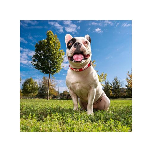 Marvel mintás nyakörv