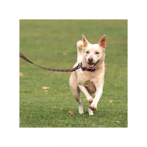 Deadpool mintás póráz