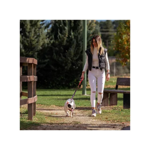 DC Szuperkutya mintás póráz