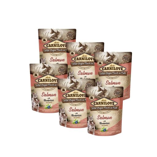 CARNILOVE Puppy lazac és áfonya 6x300g