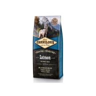 CARNILOVE Lazac 12kg