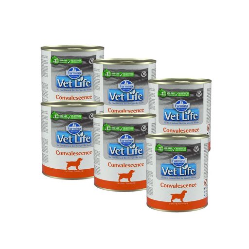 Farmina Vet Life Dog Convalescence 6x300g