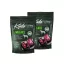 Kudo Lamb-Rice Medium-Maxi Junior 2x3kg