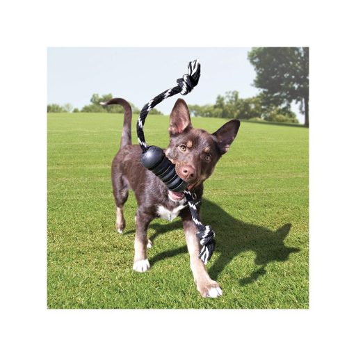 KONG Extreme Dental Kötéllel M