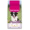 Eukanuba Puppy Medium Breed