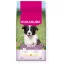 Eukanuba Puppy Medium Breed