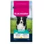 Eukanuba Adult Medium