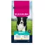 Eukanuba Adult Medium