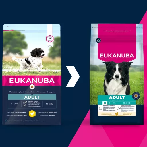 Eukanuba Adult Medium