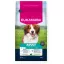 Eukanuba Adult Small & Medium Bárány és Rizs 3kg