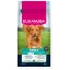 Eukanuba Adult Large Breed Bárány és Rizs