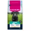 Eukanuba Adult Large Breed