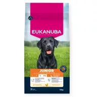Eukanuba Junior Large Breed 15kg