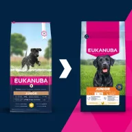 Eukanuba Junior Large Breed 15kg