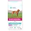 Eukanuba Daily Care Mono Protein Lazac 12kg