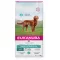 Eukanuba Daily Care Sensitive Digestion