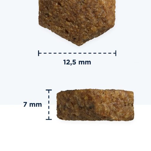 Eukanuba EVD Intestinal