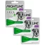 Frontline Combo L