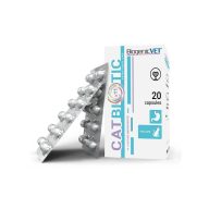 BiogenicVet Catbiotic 20x