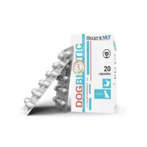 Gyomor és bélrendszer