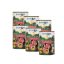 Happy&Fit Superior Friss Marhahús mangóval, áfonyával 6x400g