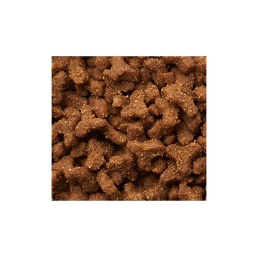 IAMS Cat Kitten & Junior Csirke