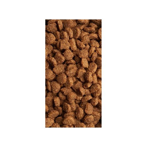 IAMS Cat Adult Hairball Controll