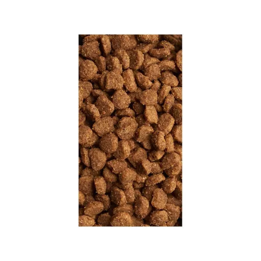 IAMS Cat Adult Csirke