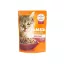 IAMS Delights Senior Csirke Falatkák Ízletes Szószban