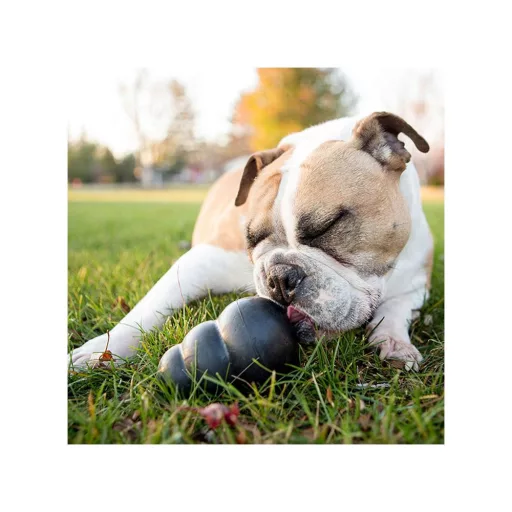 KONG Extreme Harang M