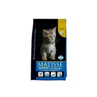 Matisse Kitten