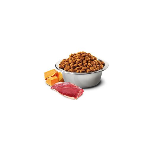 N and D Cat Pumpkin Duck300g