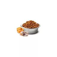 N and D Cat Pumpkin Herring