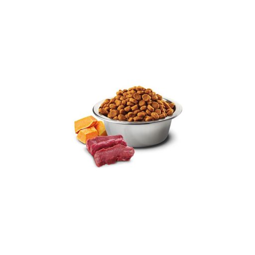 N and D Cat Pumpkin Venison