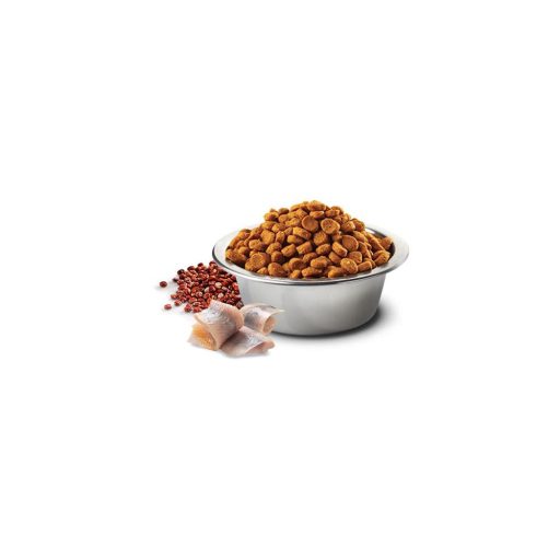 N and D Cat Quinoa Skin&coat Herring 2x1,5kg