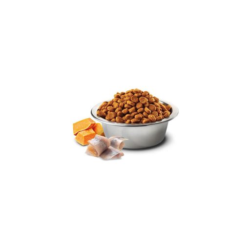 N and D Cat Pumpkin Herring