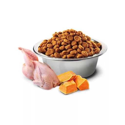 N&D Dog Fürj és és Gránátalma Sütőtökkel Adult Mini 2x2kg