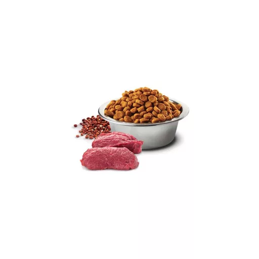 N and D Dog Quinoa Skin&coat Venison Adult Mini 2,5kg