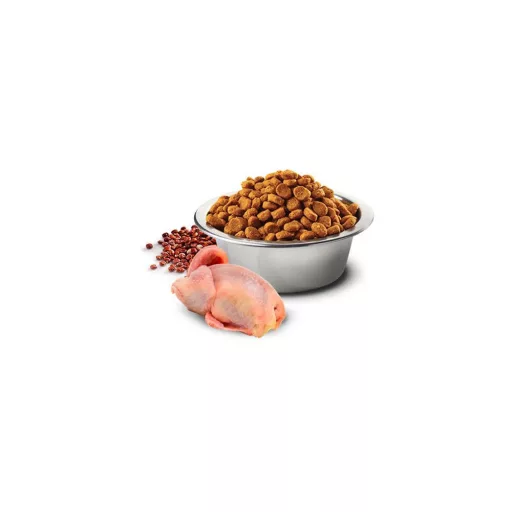 N and D Dog Quinoa Skin&coat Quail 2x2,5kg