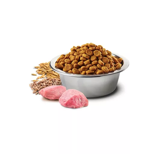 ND Dog Tropical Seleciton Sertés Adult Mini 2x5kg