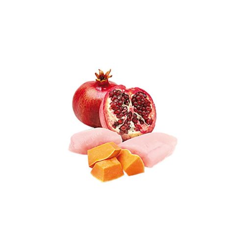 N and D Cat Csirke és Gránátalma sütőtökkel 70g