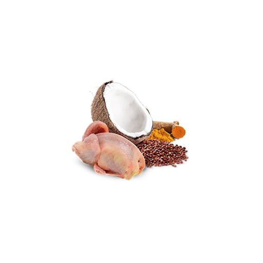 N and D Cat quinoa fürj kókusszal 80g
