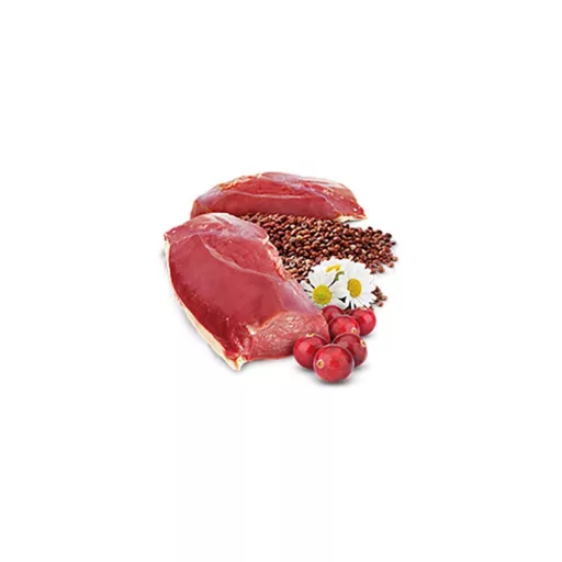N and D Cat quinoa qrinary 80g