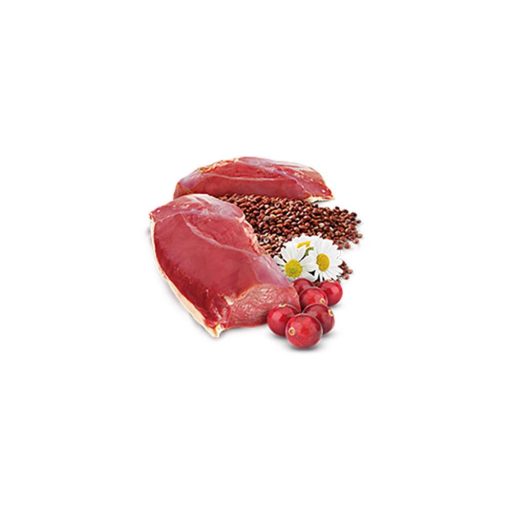 N and D Cat quinoa qrinary 80g