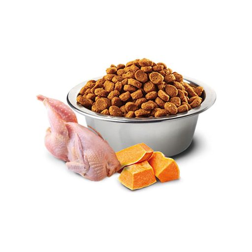 N&D Dog Fürj és és Gránátalma Sütőtökkel Adult Medium/Maxi 2x12kg