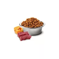 Nc&D Dog Szarvas és Alma Sütőtökkel Adult Medium/Maxi 12kg