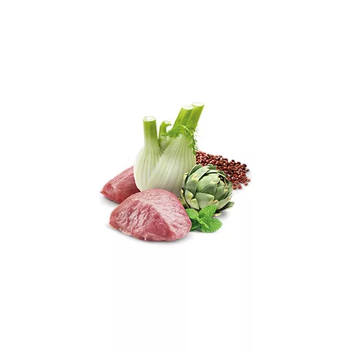 N&D Dog quinoa Digestion Mini 140g
